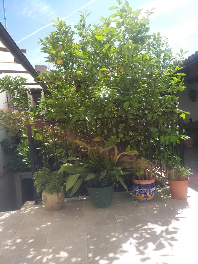 阿达莱斯El Patio Andalu住宿加早餐旅馆 外观 照片
